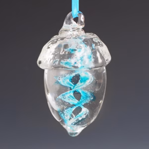 Hand-blown glass acorn memorial ornament featuring a clear acorn shape with a vibrant aqua spiral infused with cremation ash, suspended from an aqua ribbon against a soft gray background.