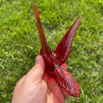 Underside view of a handcrafted red glass cardinal memorial sculpture with cremation ash fused into the glass, wings extended, held in hand over green grass.