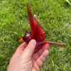 Handcrafted glass cardinal memorial sculpture with cremation ash blended into the red glass, wings spread in flight, held in hand over green grass.