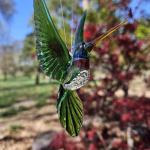 Handmade glass hummingbird made with cremation ash.