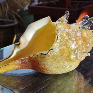 Conch Shells with Cremation Ash in golden yellow and soft ivory memorial glass, displayed outdoors on a glass table with a side angled close-up view