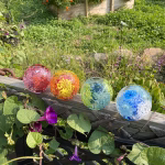 Four Flower Blossom Cremation Paperweights, each containing cremation ashes and a vibrant internal flower design, rest on a wooden garden fence. The colors displayed are pink, orange and yellow, green and blue, and blue and white. Morning glories and heart-shaped leaves climb the fence below, while a lush garden filled with greenery and flowers creates a soft, colorful backdrop.