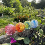 Four Flower Blossom Cremation Paperweights rest on a wooden garden fence, each containing cremation ashes and vibrant internal floral designs. The colors include pink, orange and yellow, green and blue, and blue and white. Sunlight illuminates the glass spheres as they sit among lush green vines, blooming flowers, and a thriving garden in the background.
