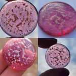 Pink Cremation Stone Set glass stone with cremation ash shown in multiple lighting conditions