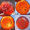 Red Cremation Stone Set glass stone with cremation ash shown in multiple lighting conditions