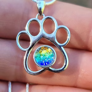 Sterling silver paw print cremation pendant with rainbow design.