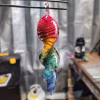 A 6-inch rainbow glass spinner infused with cremation ash, held up by metal tweezers. The hanging piece features a clear loop at the top and a twisted design blending red, orange, yellow, green, blue, and purple swirls.