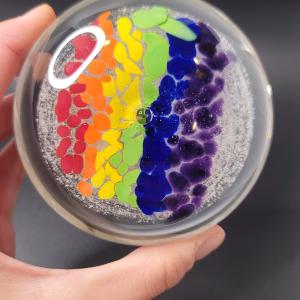 Top view of a clear glass Rainbow Bridge cremation paperweight, showing a vibrant pattern of red, orange, yellow, green, blue, and purple color segments encased in the center, surrounded by soft swirling cremation ash and held in a person's hand.