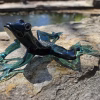 A dark green glass frog sculpture infused with cremation ash, displayed outdoors on a sunlit stone surface. The frog is shown from a dramatic low front angle, emphasizing its glossy black-green head, wide-set eyes, translucent green legs, and the sparkling ash embedded along its back.