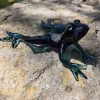 A dark green glass frog sculpture infused with cremation ash, shown in a forward-facing outdoor view as it rests on a textured rock. Sunlight highlights the frog’s glossy surface, detailed eyes, and the shimmering ash embedded along its back, with its translucent green legs stretched outward.