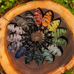 Assorted spiral drop cremation pendants in multiple colors arranged in a circular pattern on a natural wood slice with moss edging