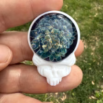 Stealie-shaped glass cremation pendant with blue moon floral design and white skull-style body held between fingers outdoors against green grass