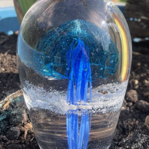 Glass jellyfish cremation paperweight with blue jellyfish design suspended inside clear memorial glass