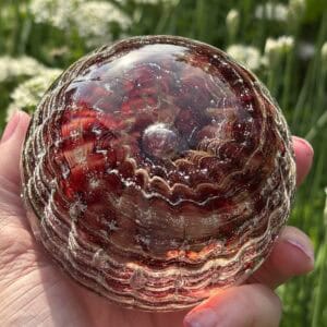 Close-up of a garnet birthstone glass paperweight with cremation ashes and layered Ripple Vortex pattern in natural light